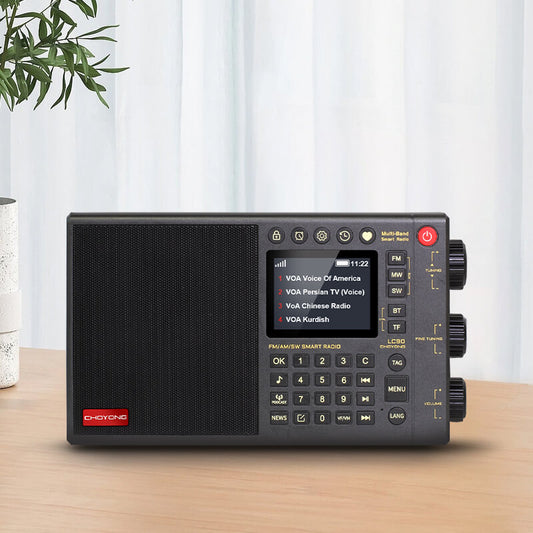 CHOYONG LC90 smart internet radio new version 4.7 released supports Spotify!